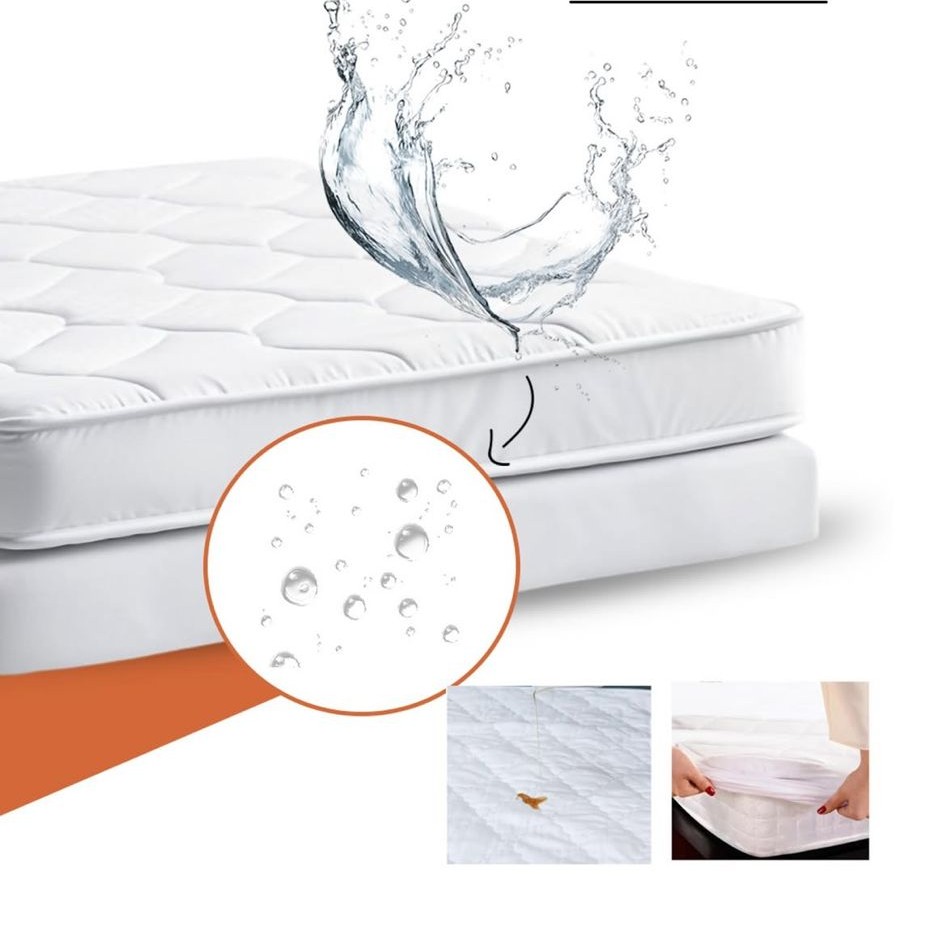 ملف حامي للفرشة