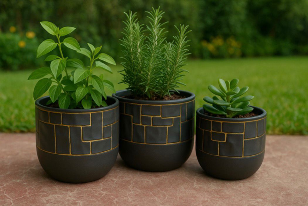 مجموعة الأصص المزخرفة الحديثة